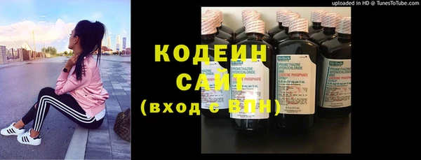дурь Инта