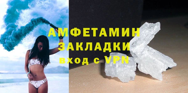 прущие грибы Усолье-Сибирское
