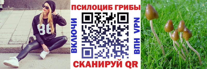 это клад  Железногорск  Галлюциногенные грибы мухоморы  наркота  ссылка на мегу ТОР 