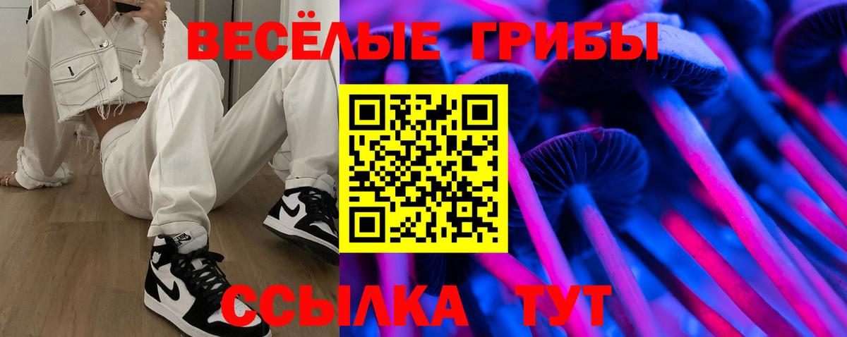 Псилоцибиновые грибы прущие грибы Железногорск