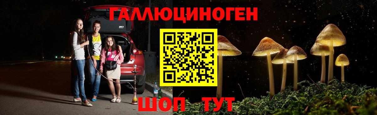 Галлюциногенные грибы мухоморы  Вход с VPN  Железногорск 